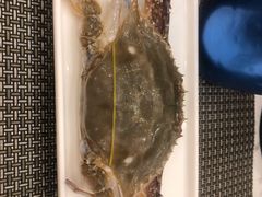 -澜悦港海鲜体验主题餐厅