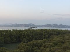 -盐洲岛