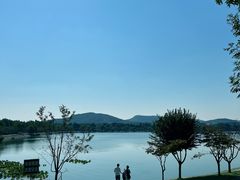 -羊山湖公园