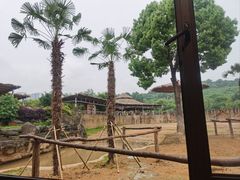 -杭州野生动物世界