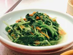 邹山腐皮鸡毛菜-竹外桃花·江南小酒馆(SKP·S店)