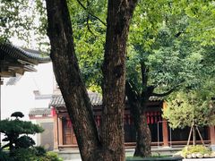 -香积寺