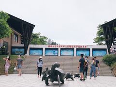 -广东惠东海龟国家级自然保护区