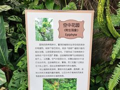 -上海辰山植物园