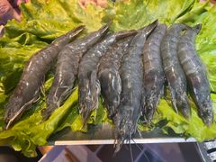 -杨记齐齐哈尔烤肉(总店)