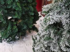 -世界之窗阿尔卑斯冰雪世界