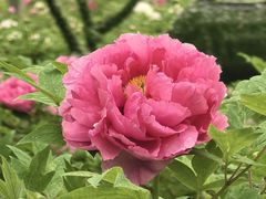 -仁和公园(顺义区)