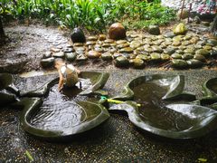 -成都市活水公园