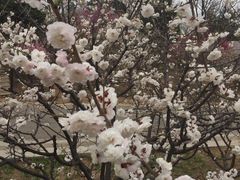 -北京鹫峰国家森林公园