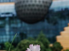 -中国杭州低碳科技馆