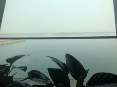 -贝林大翅鲸简餐厅(国家海洋博物馆店)