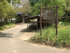 -杭州双溪漂流景区