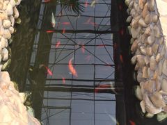 -上海多利农业发展有限公司