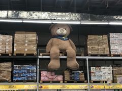 -麦德龙(郑东店)