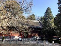 -香山公园