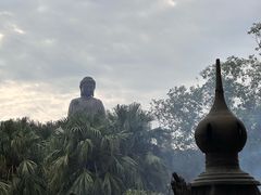 -天坛大佛