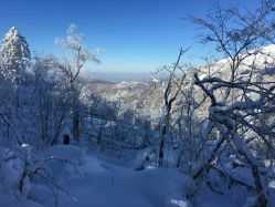 -大秃顶子山