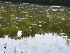 -南国桃园旅游度假区