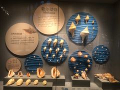 -贝林大翅鲸简餐厅(国家海洋博物馆店)