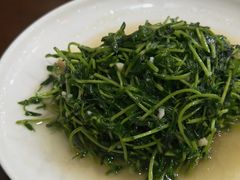炒豆苗-红灯笼龙凤饭店(宁波老字号店)