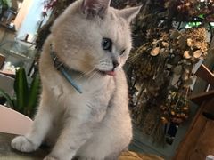 -小时光咖啡馆(北锣鼓巷店)