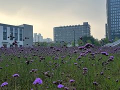 -浙江大学(玉泉校区)