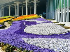 -国家会展中心