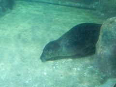 -福州罗源湾海洋世界旅游区