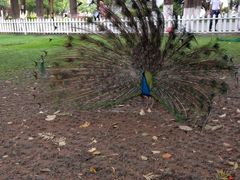 iphone_upload_pic-西昌邛海宾馆