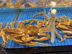 -闽南厝·闽南菜(福隆店)