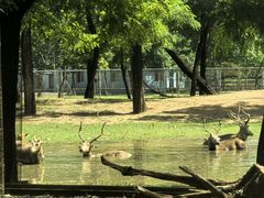 -秦皇岛野生动物园