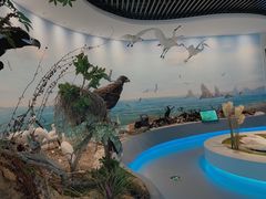 -大连市规划展示中心