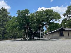 -京都御所
