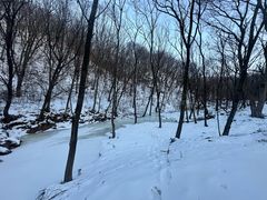 -五家山森林公园滑雪场