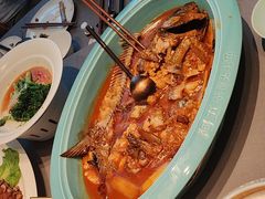 -阿五黄河大鲤鱼(河南长垣店)