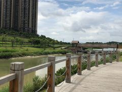 -那考河湿地公园