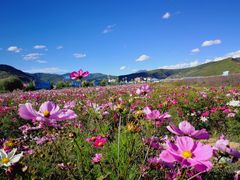 -花湖生态旅游区