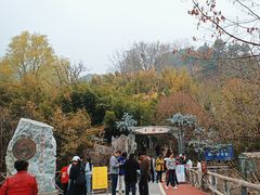 -王顺山国家森林公园