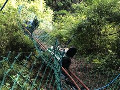 -燕子河大峡谷天坑仙境