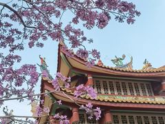 -仙岳公园