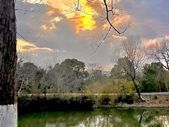 -西溪国家湿地公园