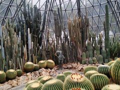 -深圳仙湖植物园
