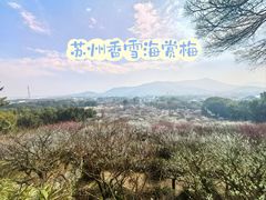 -香雪海