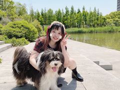 -南翔镇银翔湖公园