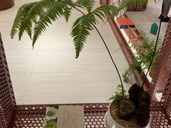 -二酉书店TOYOU BOOKS