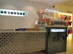 -神采飞扬宠物美容(香港路店)
