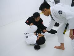 -菠萝格斗巴西柔术训练馆