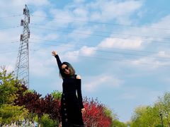 -永定河休闲森林公园