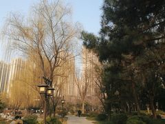 -木塔寺遗址生态公园