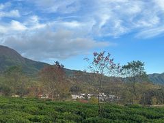 -塔川景区